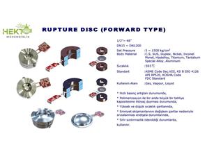 Rupture Disc Parçalanabilen Kırık Kopuk Disk Vana Safety Valve en
